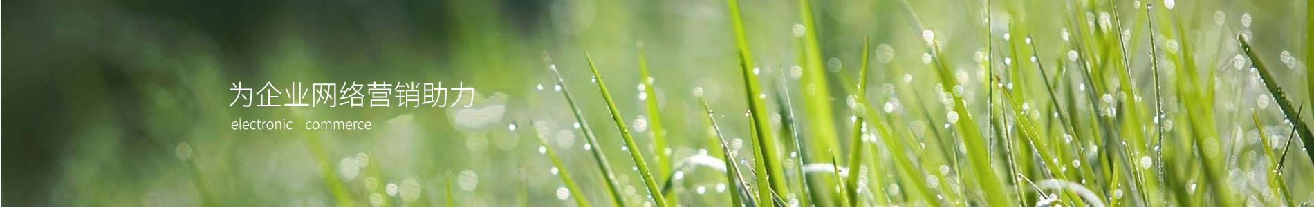 ݸне޹˾